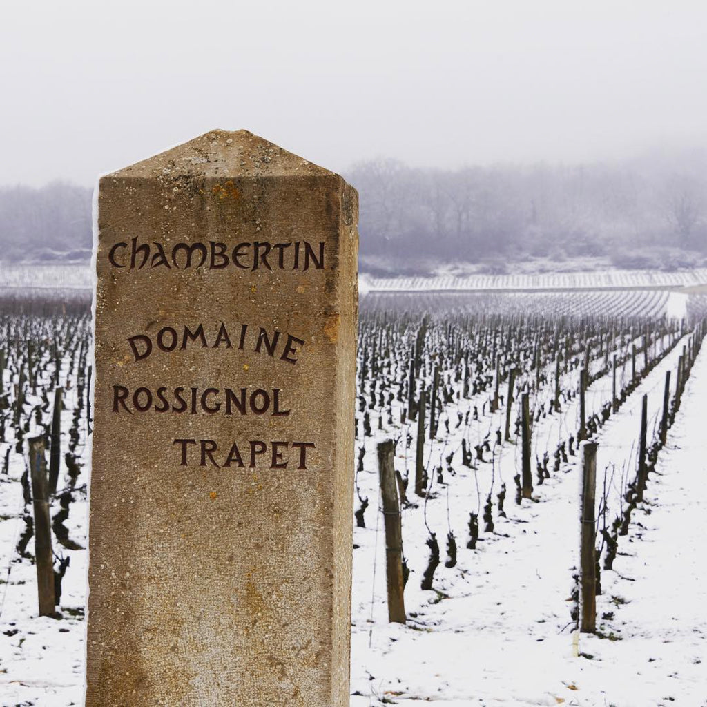 Domaine Rossignol Trapet 'Chambertin' Vineyard Marker Stone