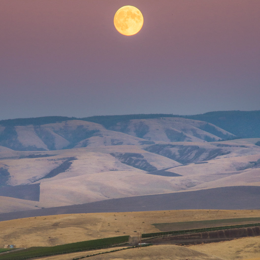 Washington State Doubleback Moonlit Sky