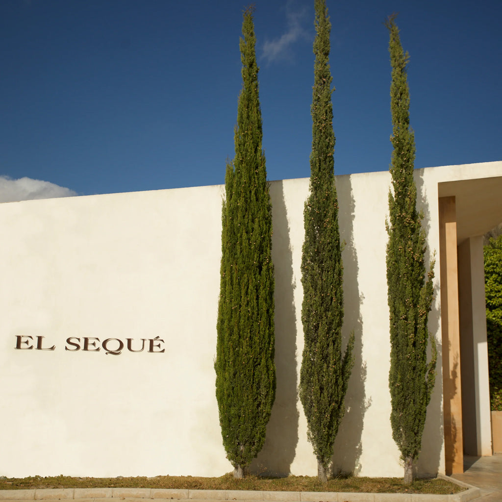 El Sequé Winery Building in Alicante, Spain