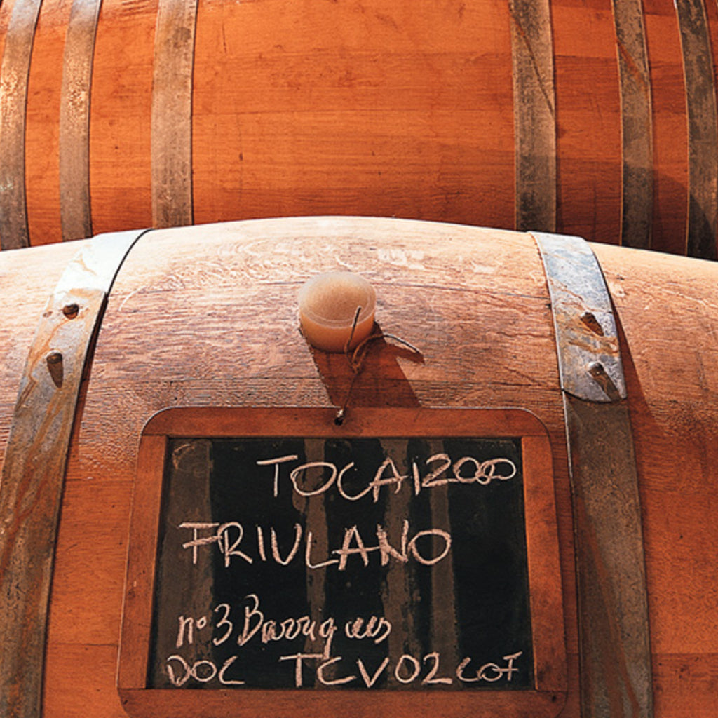 Tocai Friulano in Oak Barrels