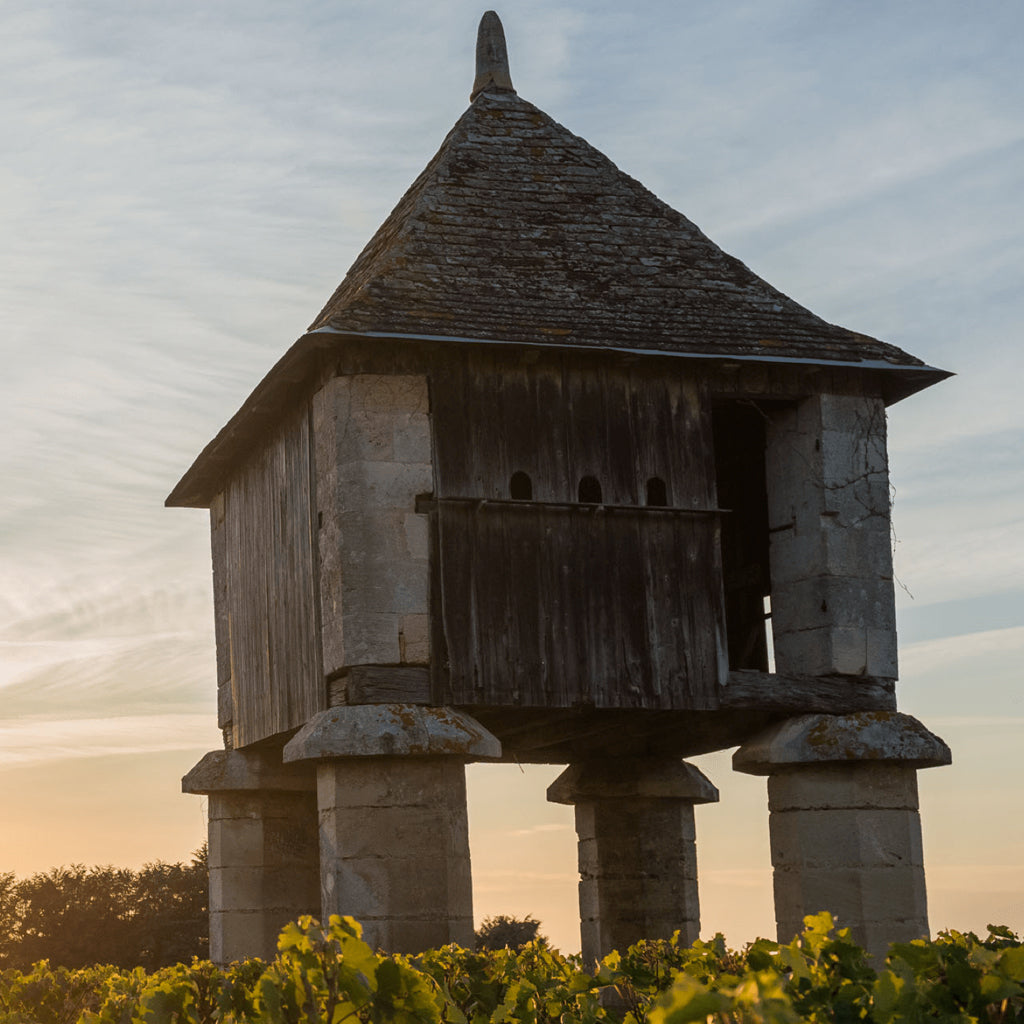 Château Grand Moulin Macquin | Montagne Saint-Émilion