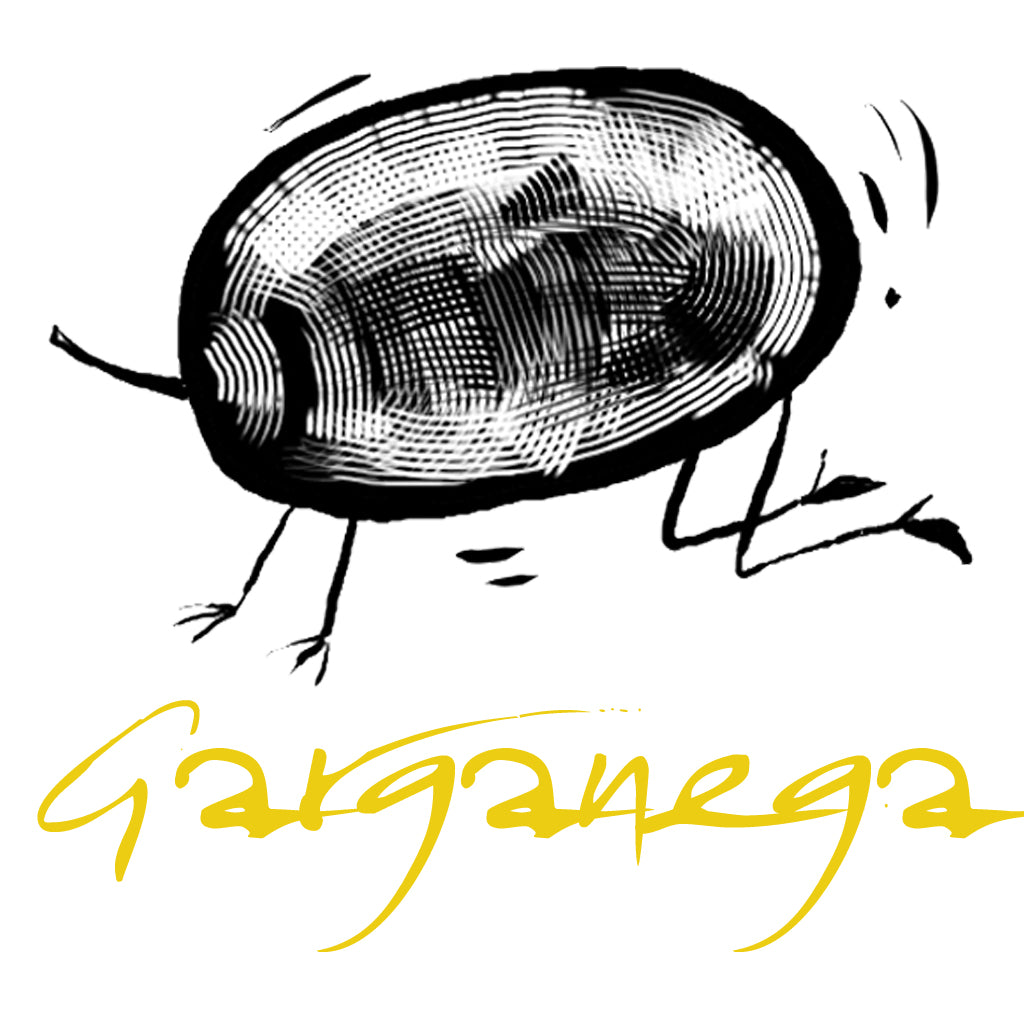 Wines made from the Garganega grape