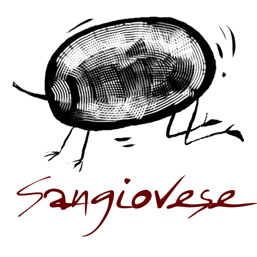 Wines made from the Sangiovese grape variety