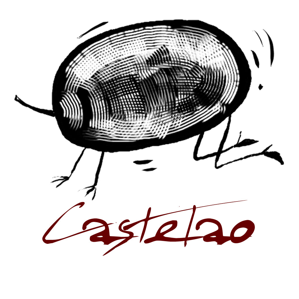 Buy wine from the Castelao grape