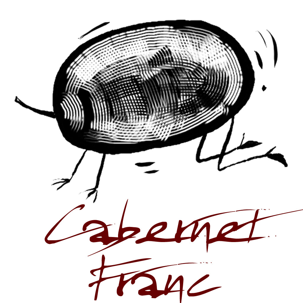 Cabernet Franc Grape Variety