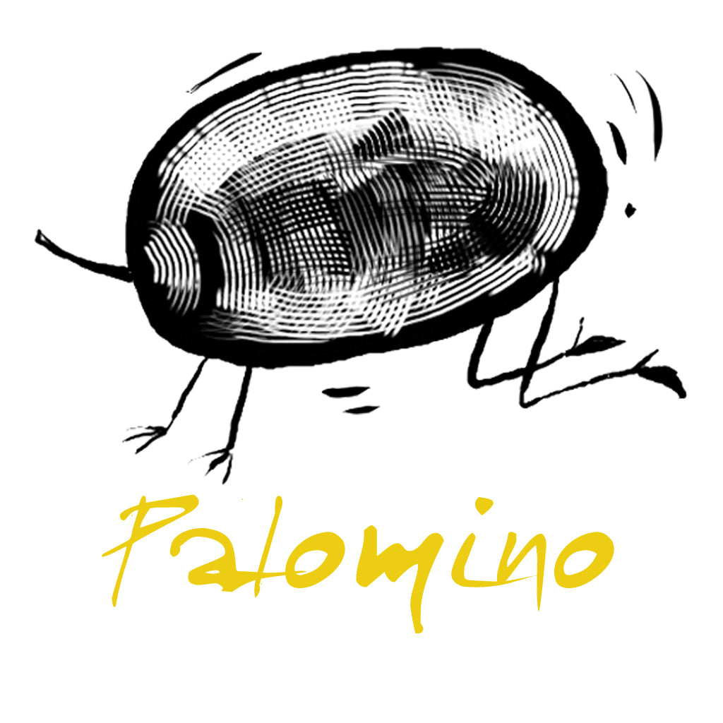 Wine made from the Palomino grape