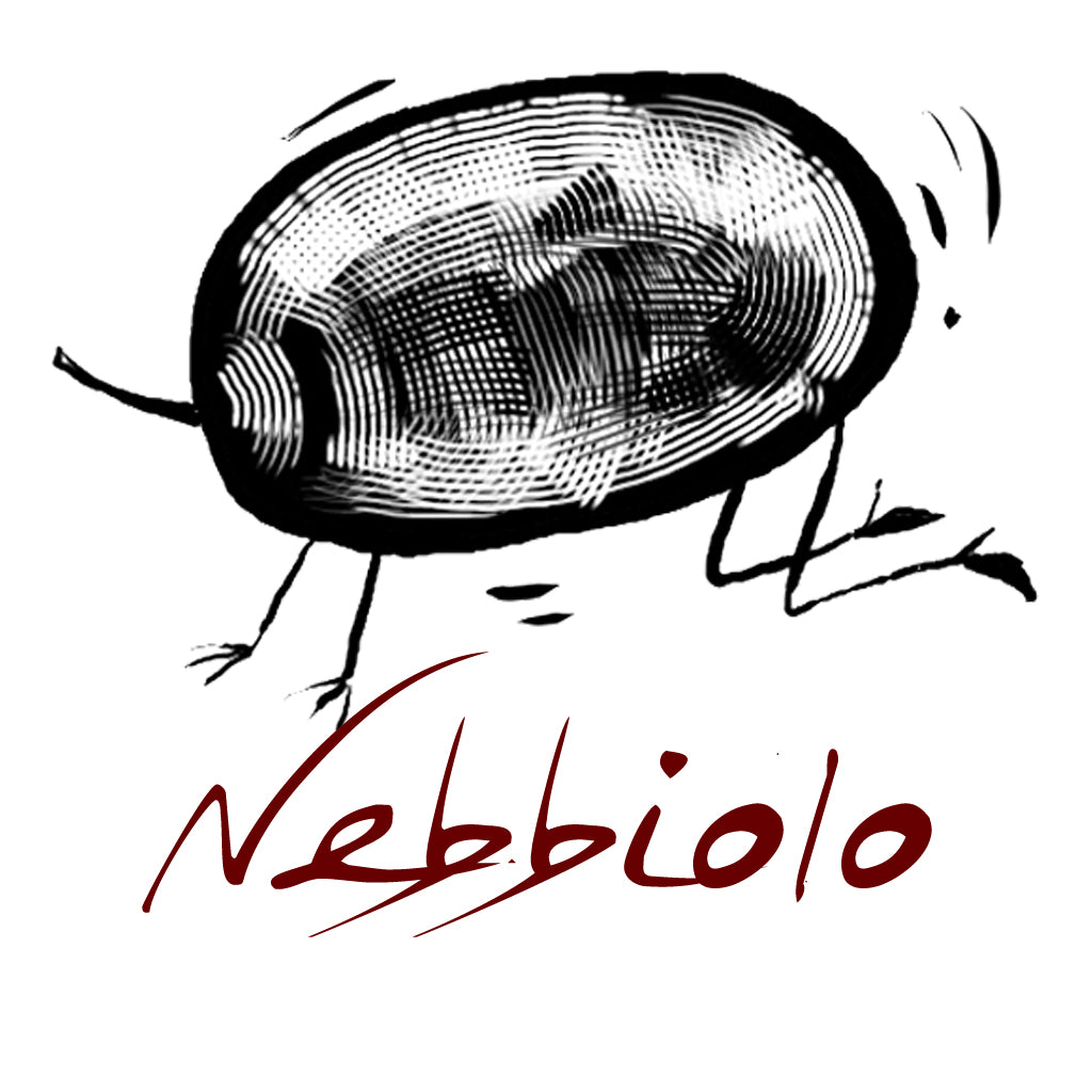 Wines made from the Nebbiolo grape