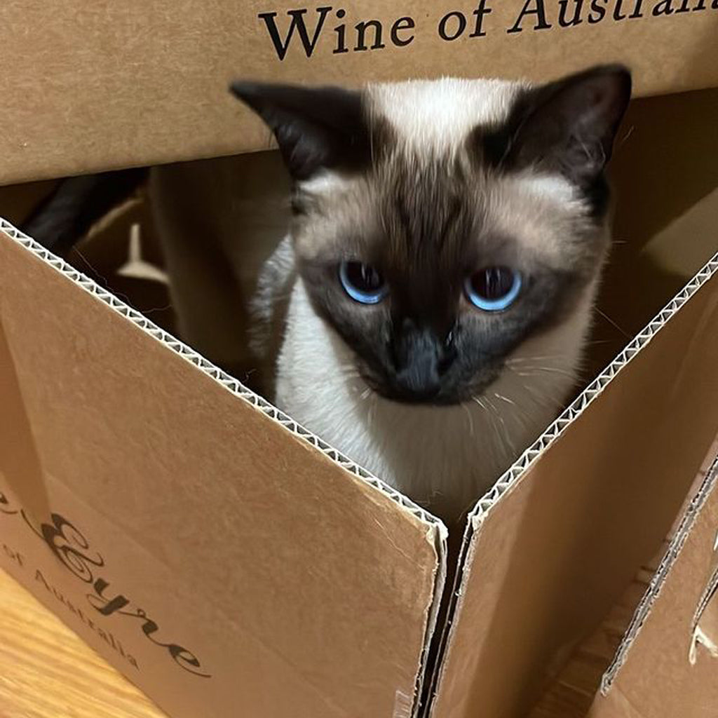 Cat sat in a Jayne Eyre Wine of Australia cardboard packing crate