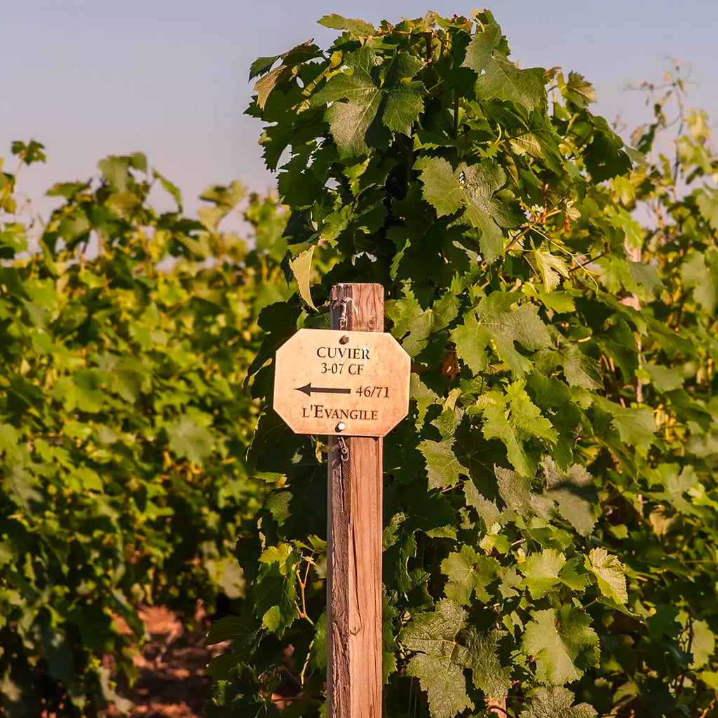 Vineyard Marker Post at Château L'Evangile in Pomerol