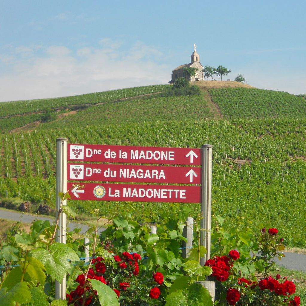 Domaine de la Madone Signpost in Fleurie