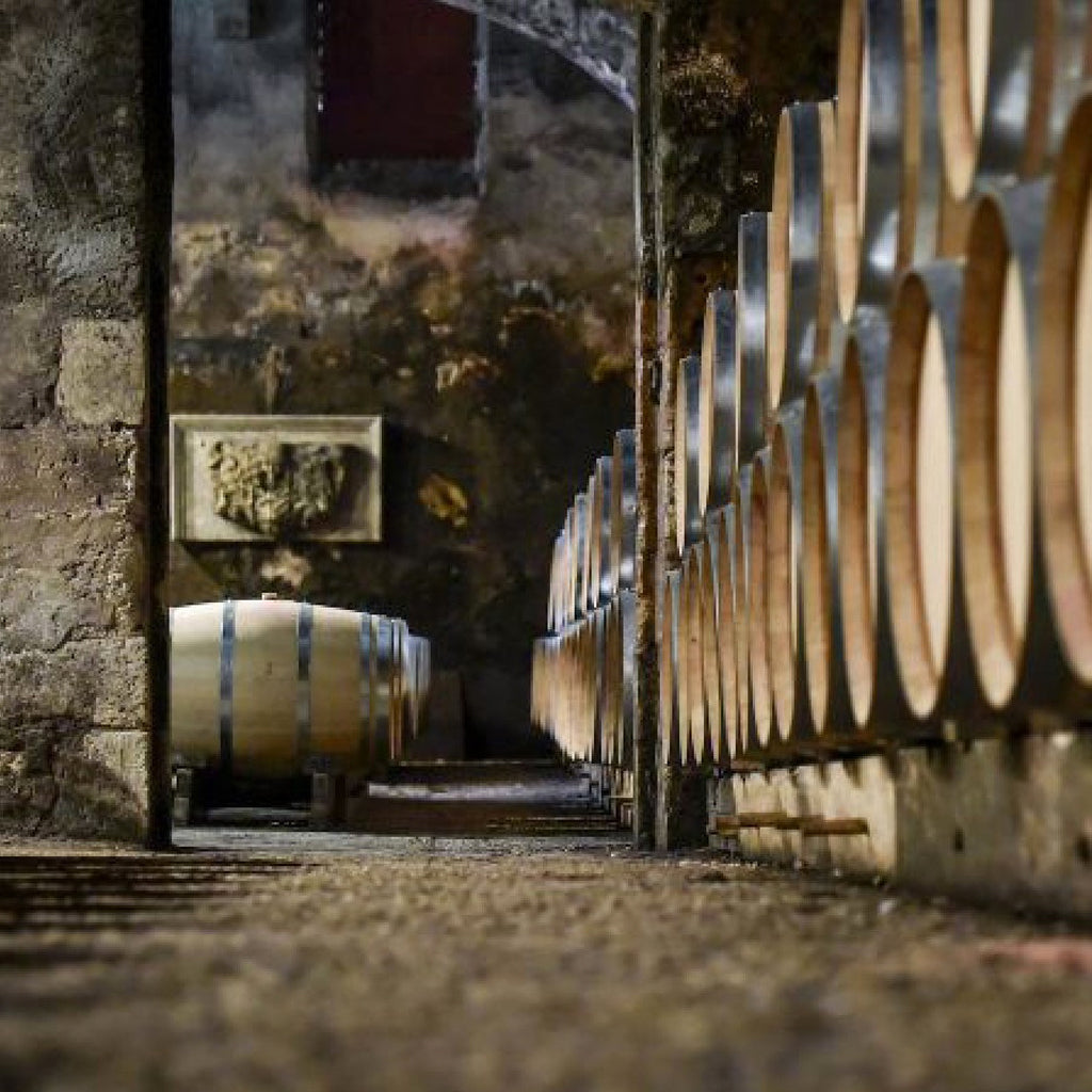 Médoc Wines ageing in Barrel Cellar
