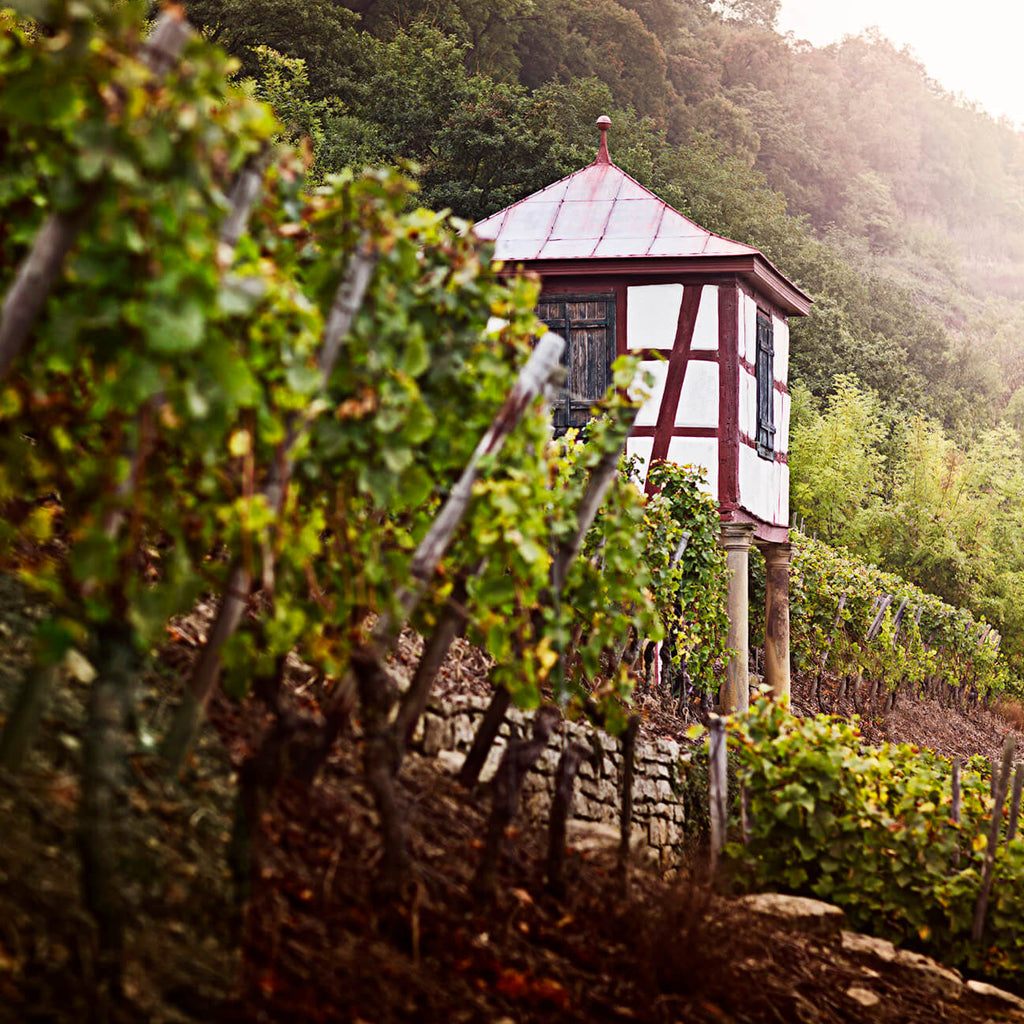 Winemakers hut on the steep slopes of a vineyard in the Nahe region of Germany