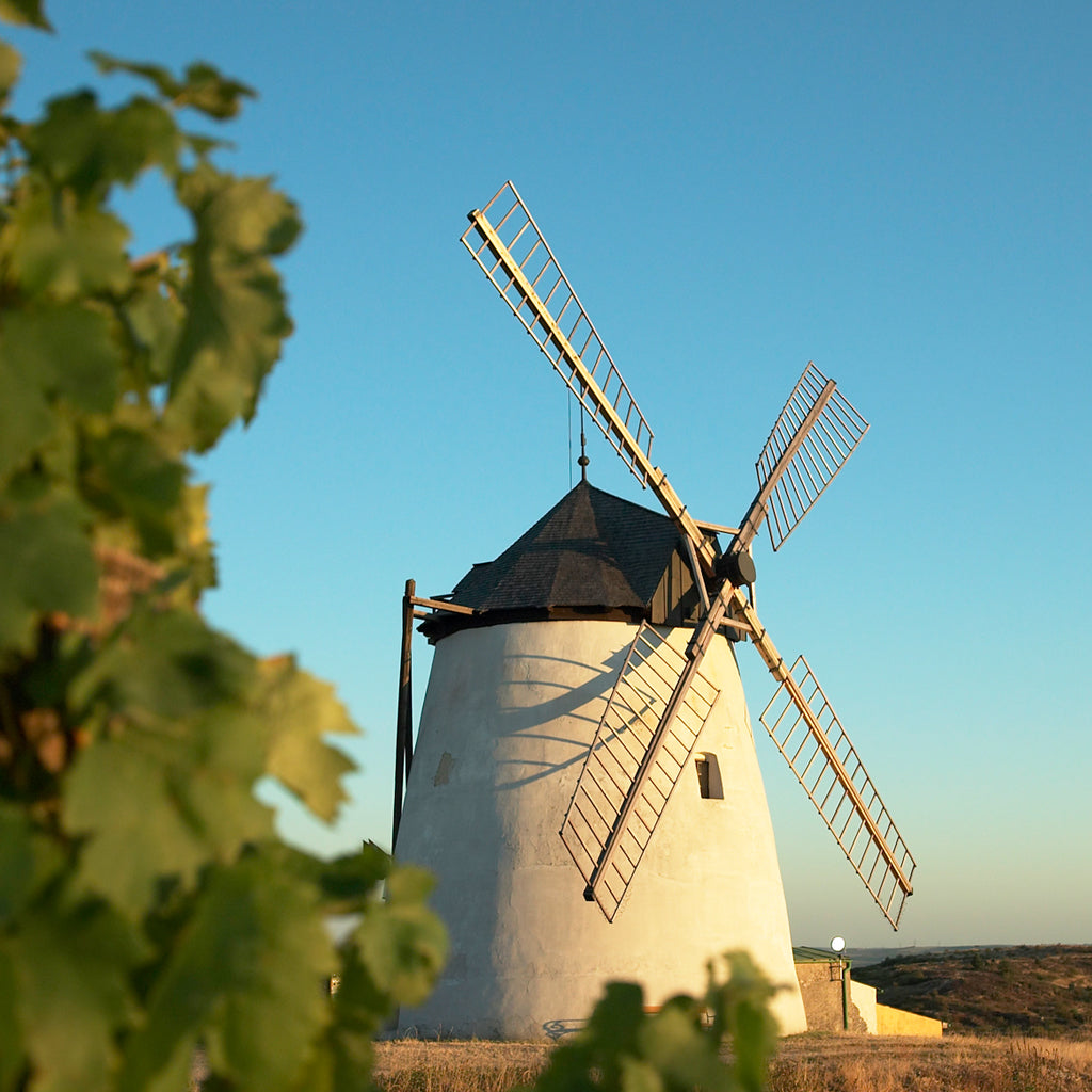 Windmill in the Weinviertel region of Lower Austria