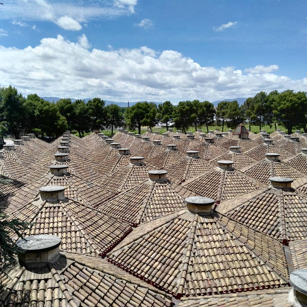 The hexagonal domes of Bodegas Olarra