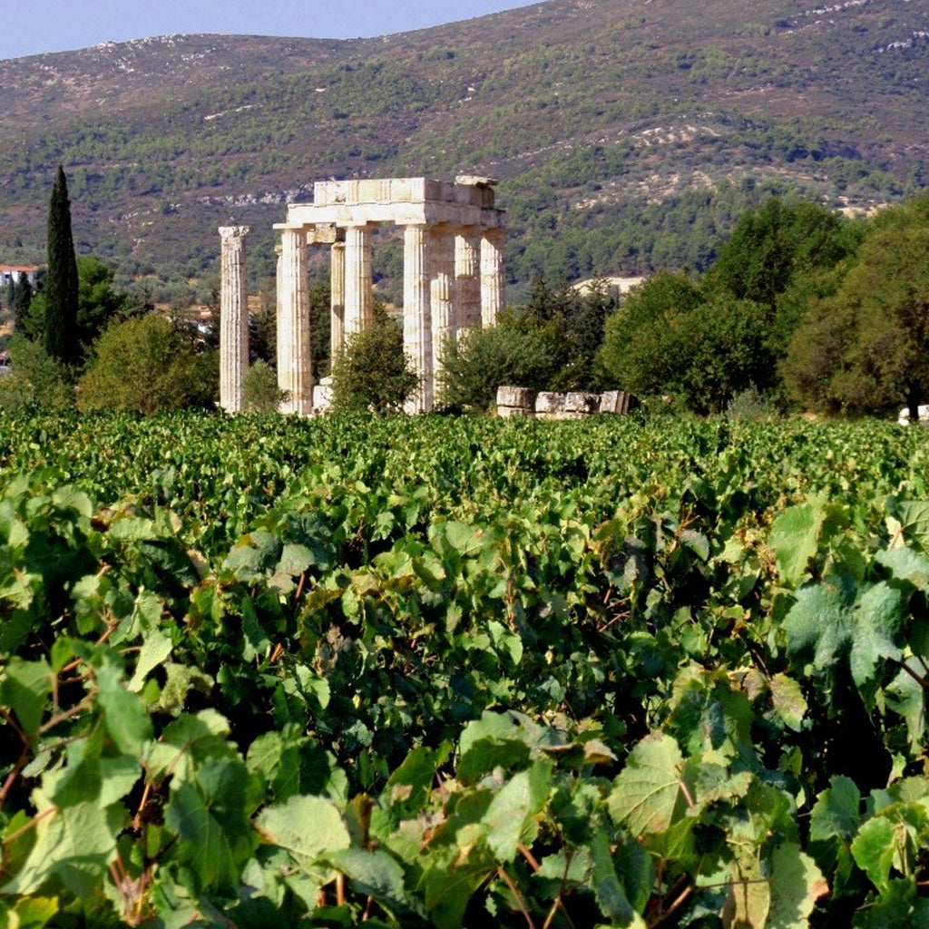 Vineyards in Nemea, Greece