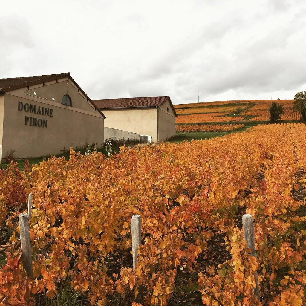Domaine Piron Winery Buildings adjacent to the vineyards in Morgon