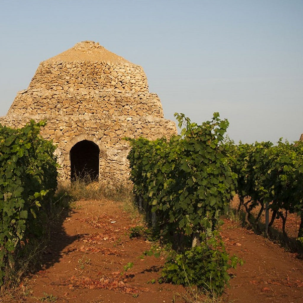 Puglian Vineyards