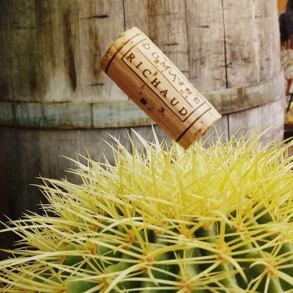 Domaine Richaud Cork dropping into spikey plant