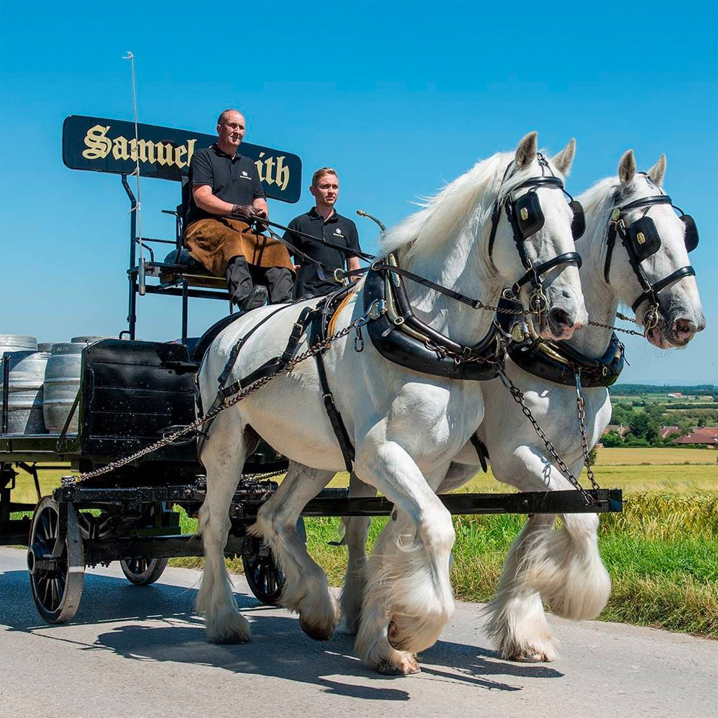 Samuel Smith Shire Horses pulling a dray