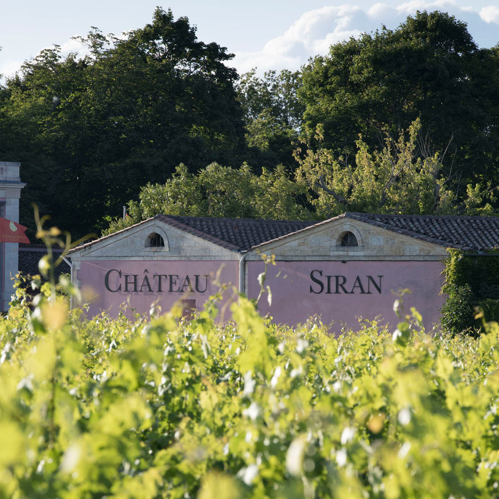 Château Siran Property in the Vineyards of Margaux
