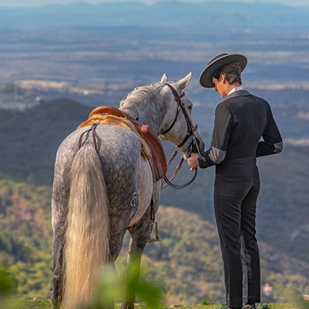Lusitano Horse & Rider overlooking Tejo Landscape