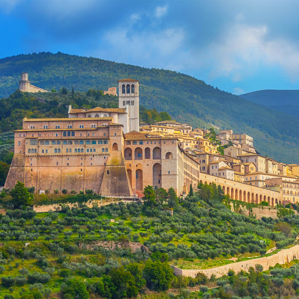 View of Hilltop Town Assisi in Umbria