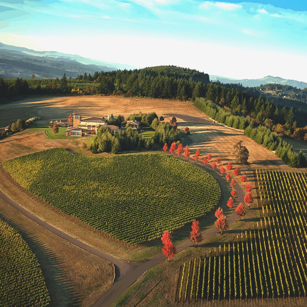 Willamette Valley Winery in Oregon, USA