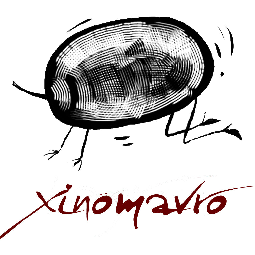 Xinomavro Grape Variety