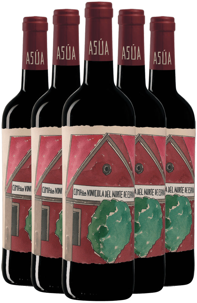 Asúa Rioja Crianza Red Wine 6 Bottle Case