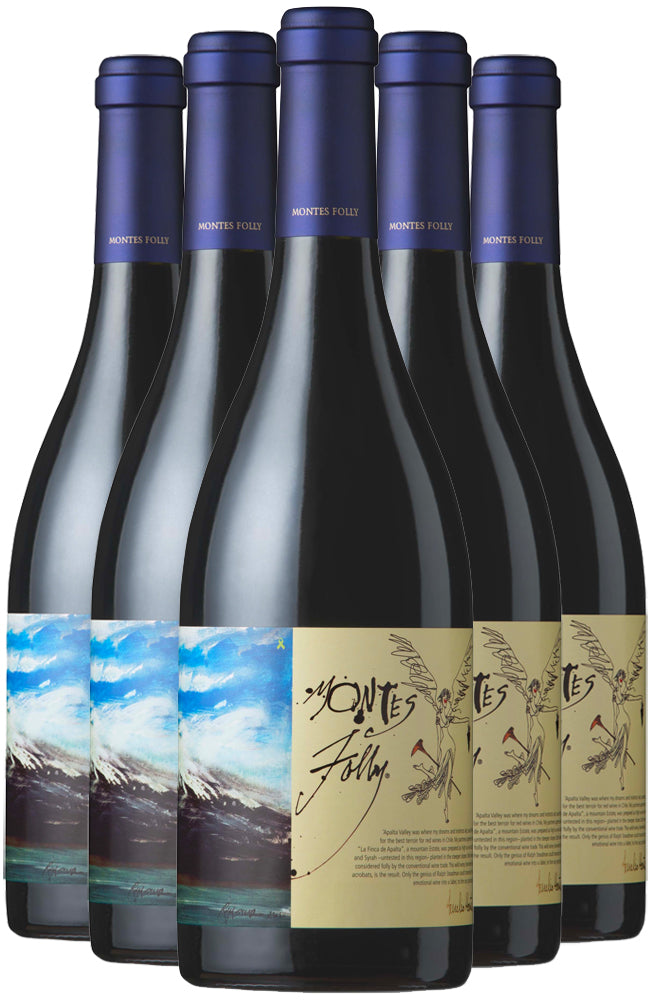 Montes Folly Chilean Syrah Red Wine 6 Bottle Case
