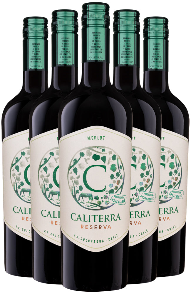Caliterra Merlot Reserva Chilean Red Wine 6 Bottle Case