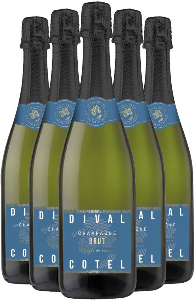 Champagne Dival Cotel Brut NV 6 Bottle Case