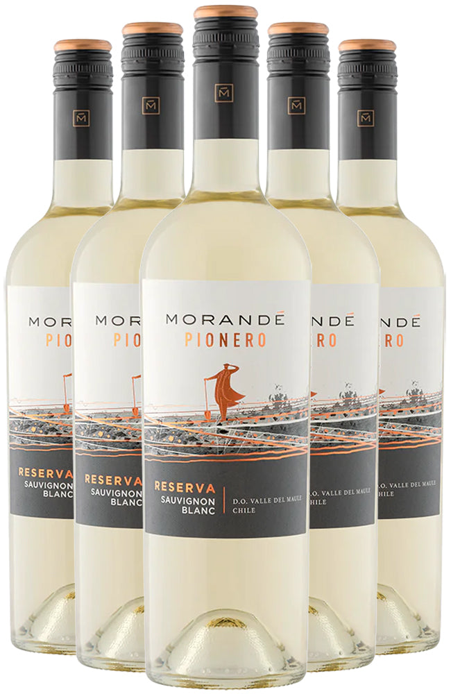 Morande Pionero Sauvignon Blanc Reserva Chilean White Wine 6 Bottle Case