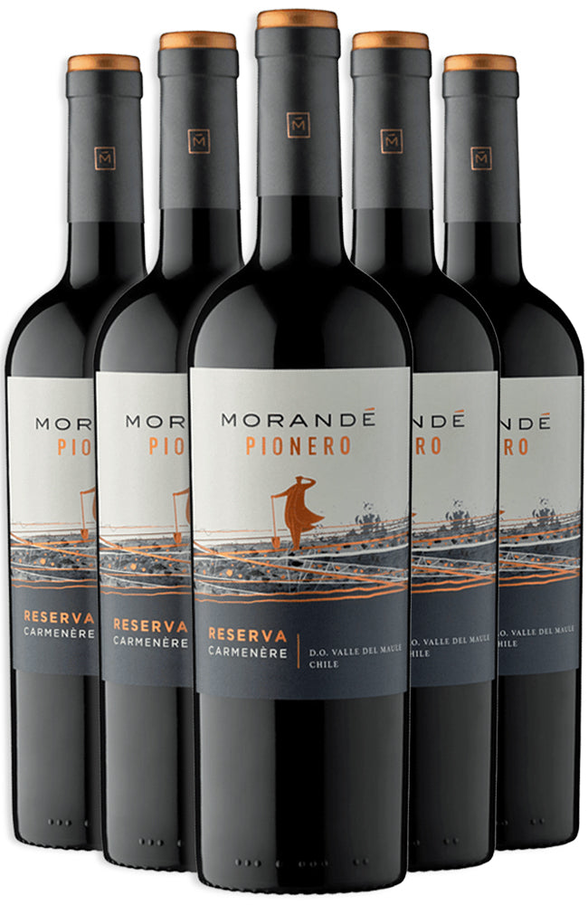 Six bottles of Morandé Pionero Carménère Reserva Chilean Red Wine