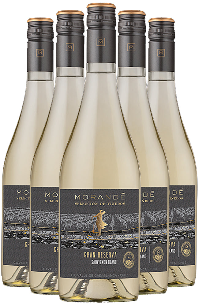 Morandé Sauvignon Blanc Gran Reserva Chilean White Wine 6 Bottle Case