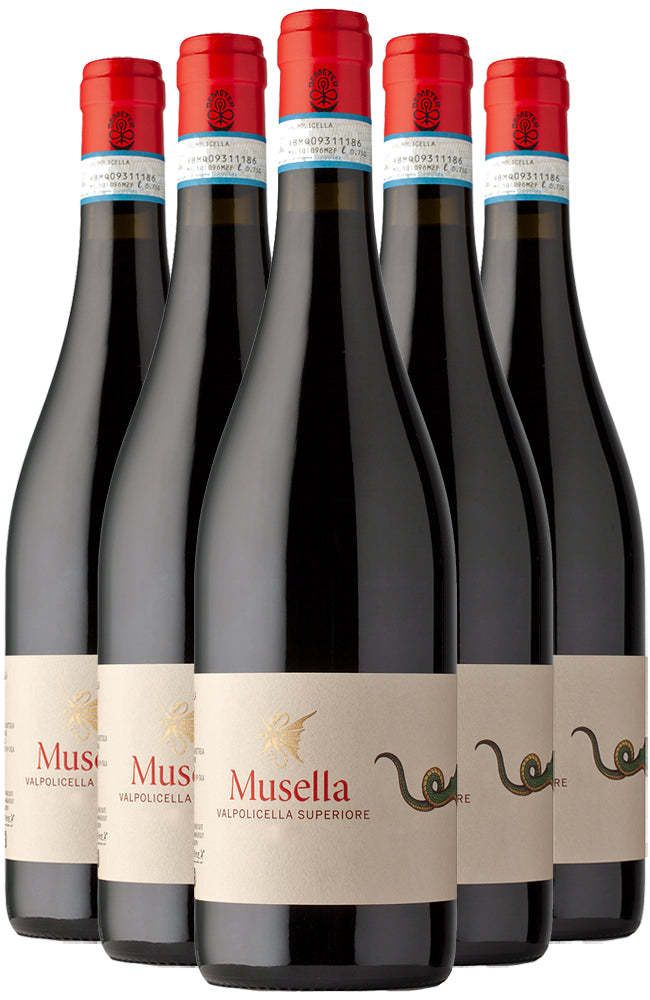 A six bottle case of Musella Biodynamic & Organic Valpolicella Superiore Red Wine on a White Background.