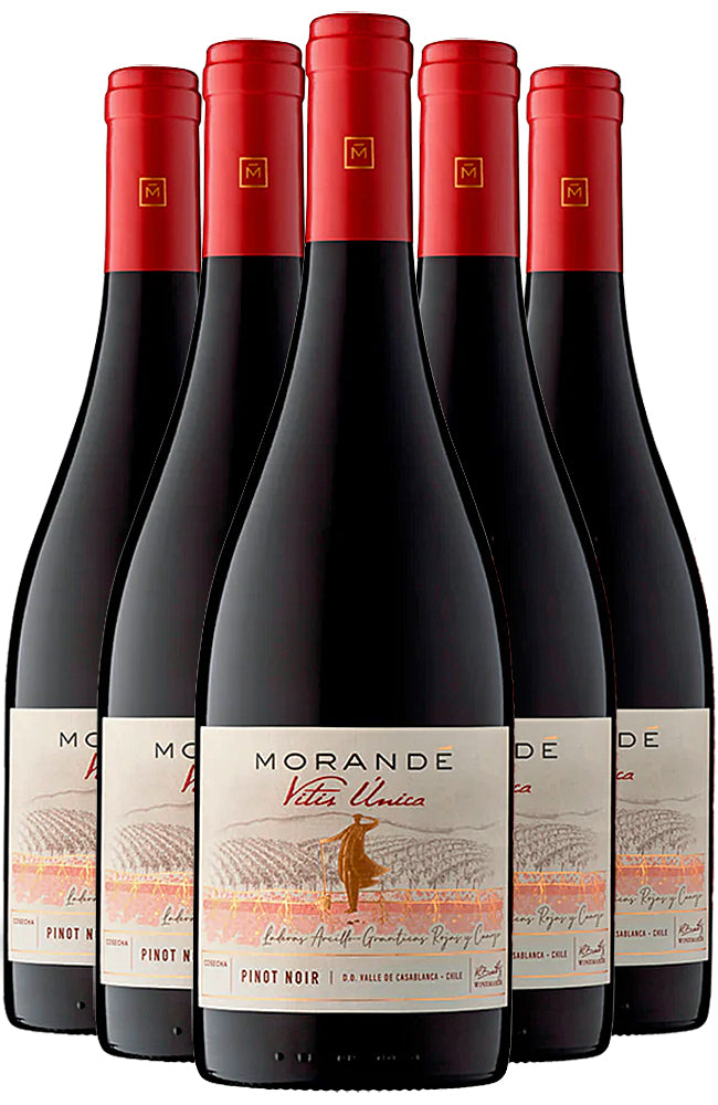 Morandé Vitis Única Pinot Noir Red Wine 6 Bottle Case