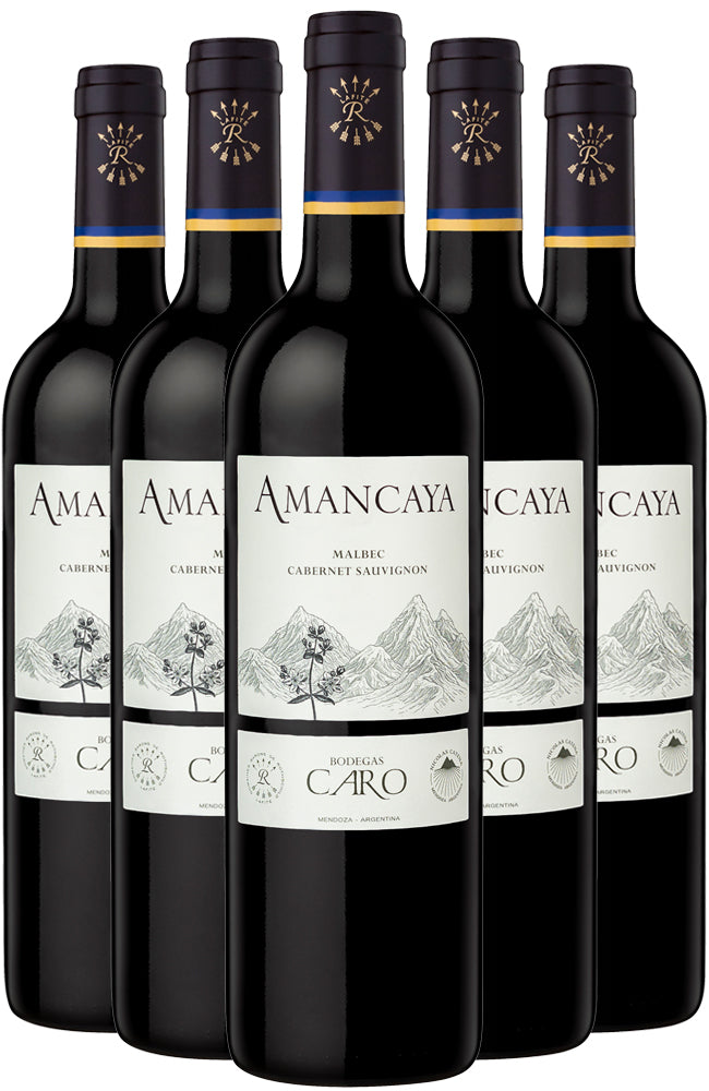 Bodegas Caro Amancaya Red Wine 6 Bottle Case
