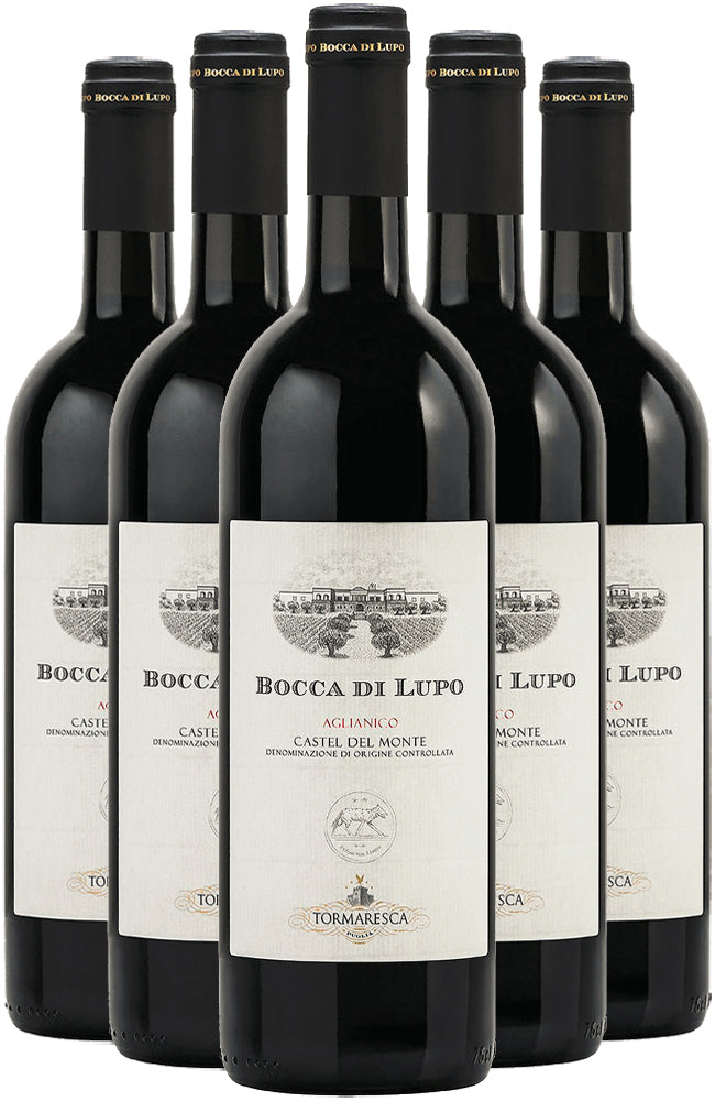 Bocca di Lupo Aglianico Castel del Monte Red Wine 6 Bottle Case