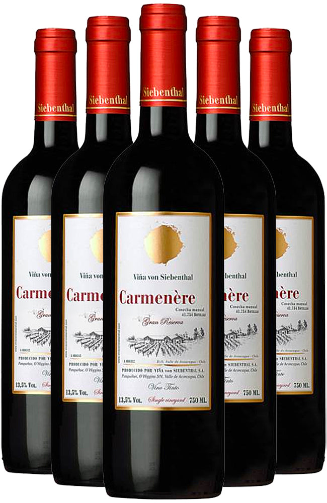 Viña von Siebenthal Carmenère Red Wine 6 Bottle Case