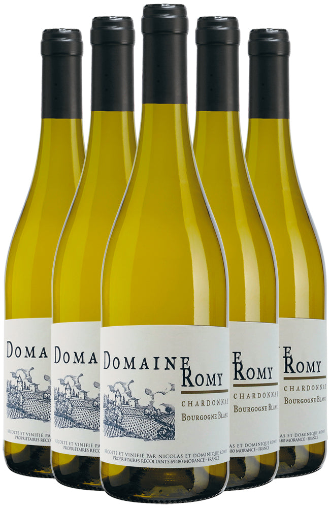 Domaine Romy Clos de la Chapelle Bourgogne Chardonnay 6 Bottle Case