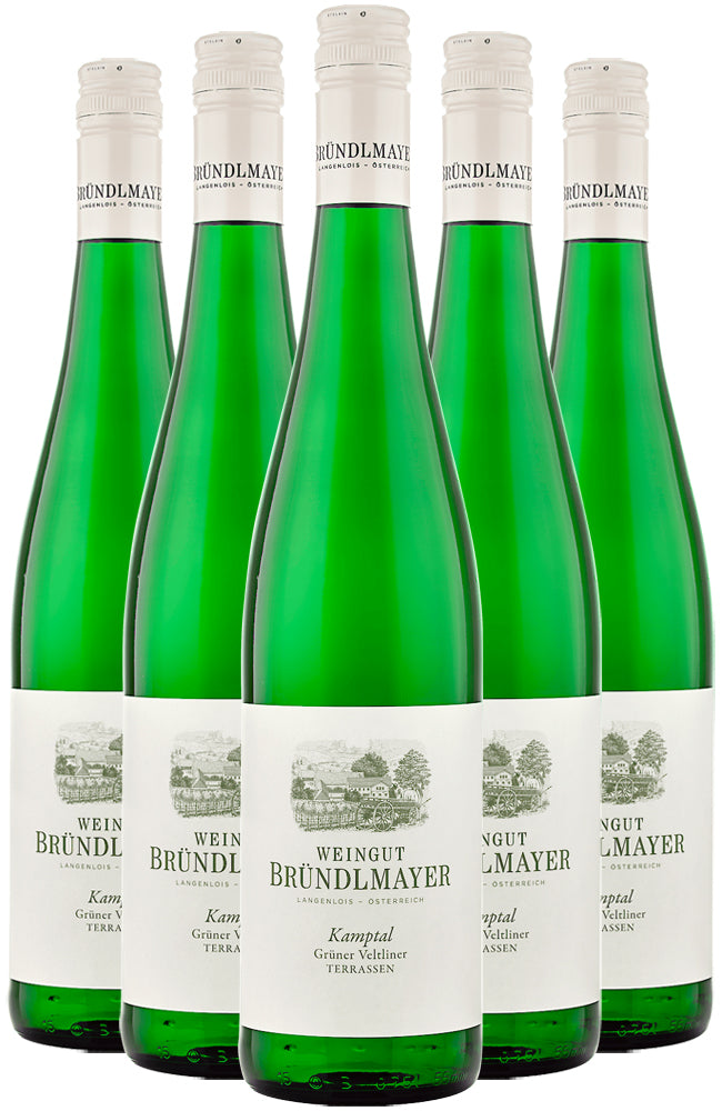 Weingut Bründlmayer Grüner Veltliner Terrassen 6 Bottle Case