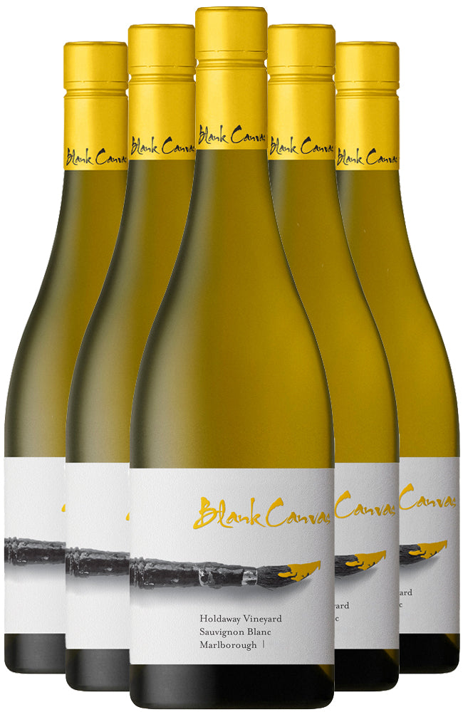 Buy Blank Canvas Holdaway Vineyard Sauvignon Blanc at Hic