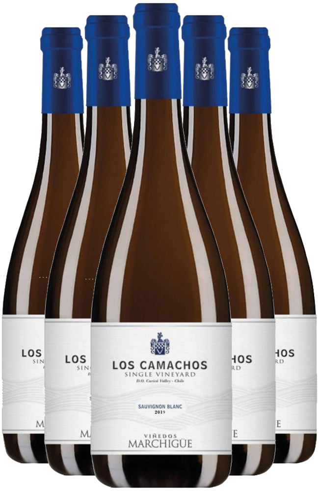 Los Camachos Sauvignon Blanc Reserva 6 Bottle Case