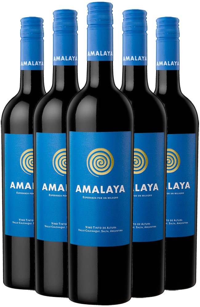 Amalaya Malbec 6 Bottle Case