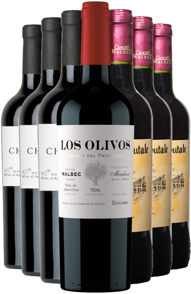 9 Bottles Mixed Case of Malbec & Cahors