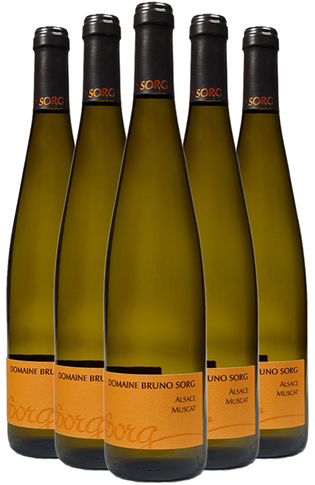 Domaine Bruno Sorg Alsace Muscat 6 Bottle Case