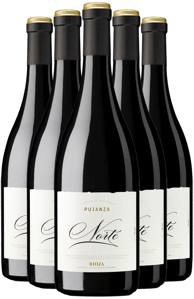 Bodegas Pujanza Norte Single Vineyard Rioja 6 Bottle Case