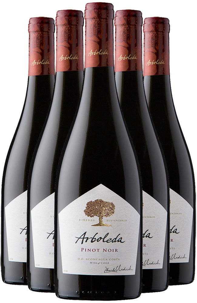 Arboleda Pinot Noir 6 Bottle Case