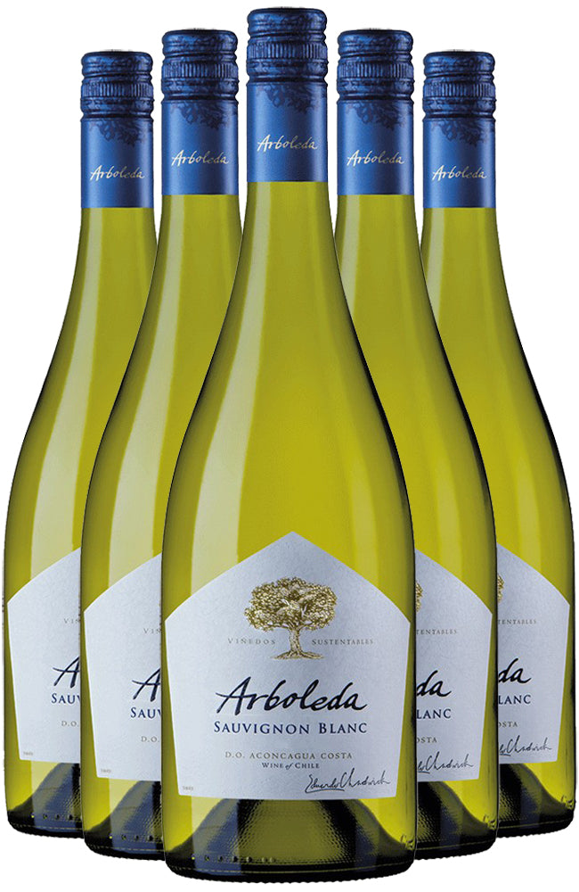 Arboleda Sauvignon Blanc 6 Bottle Case
